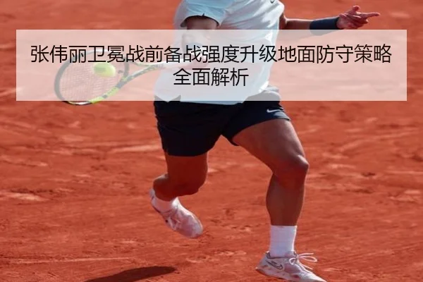 张伟丽卫冕战前备战强度升级地面防守策略全面解析